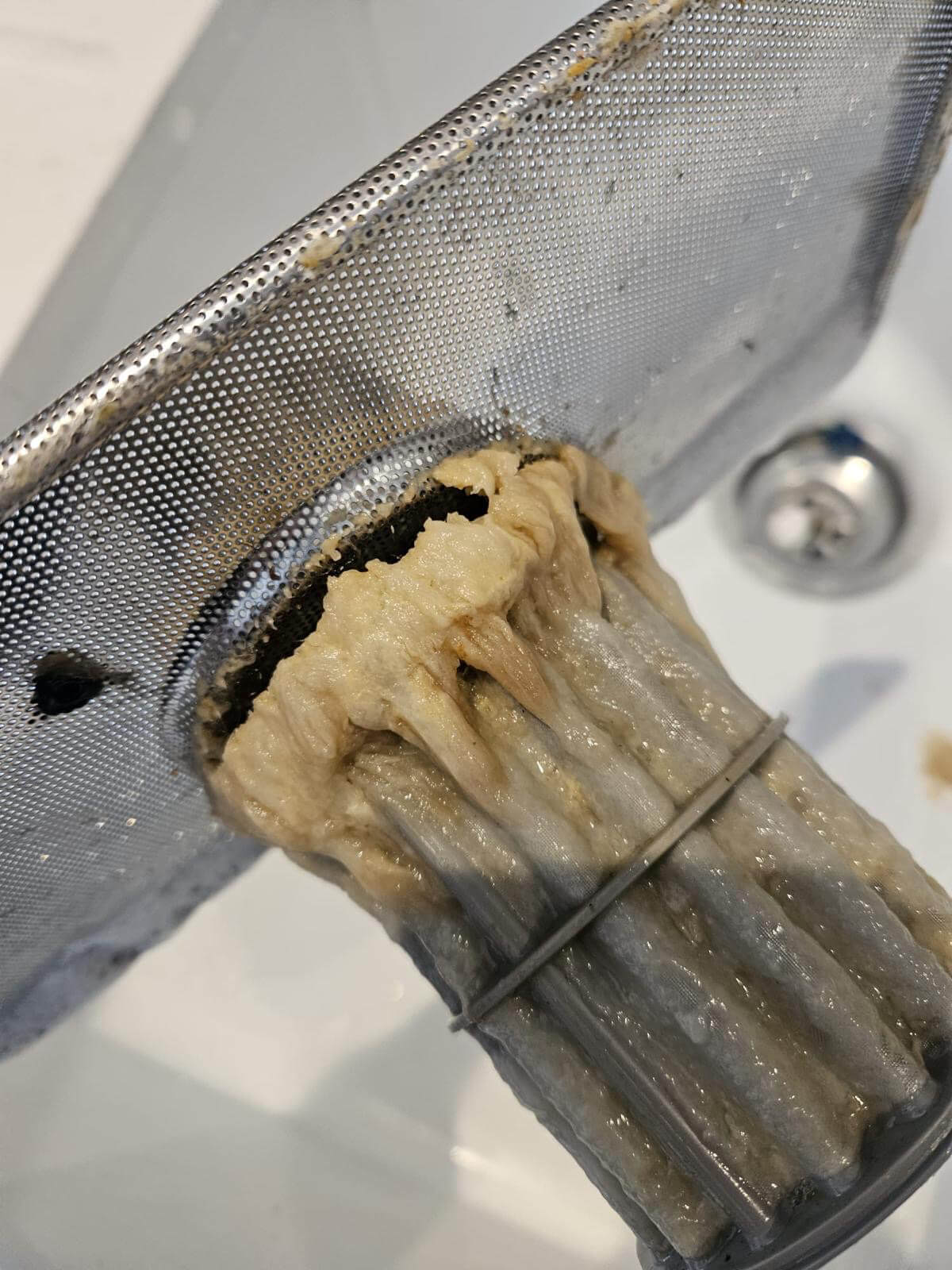 Dishwasher Element Cleaning Before