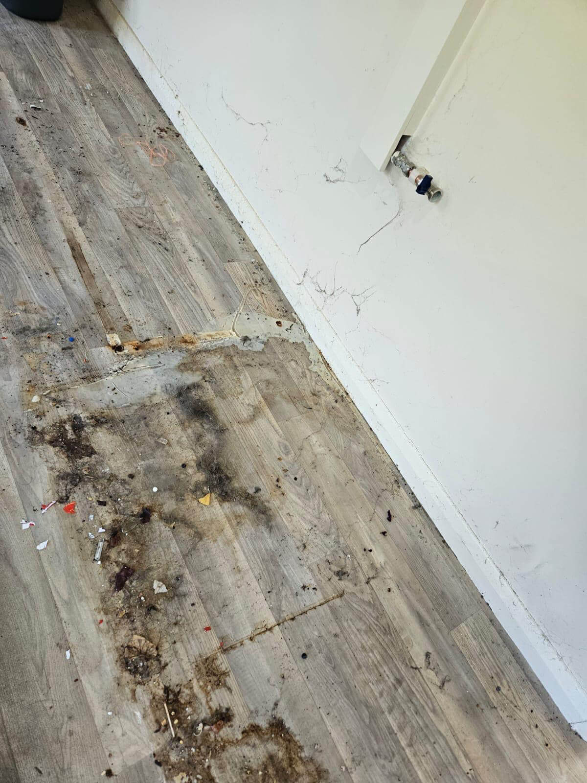 Lino Floor Cleaning Before